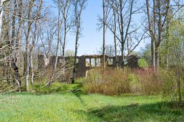 Wall Mural - ruins of limestone