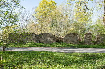 Wall Mural - ruins of limestone