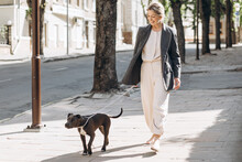 Mature Blond Business Woman In A Gray Jacket Smiling Walking Her Dog Breed Amstaff And Talking On The Phone