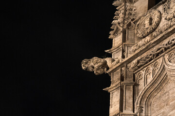 Canvas Print - Valencia Silk Exchange Market building Lonja de la Seda gargoyles at night