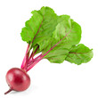 beetroot with green leaves isolated on white background. clipping path