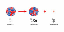 Iodine-131 Nucleus Undergoes Beta Decay To Form Xenon-131