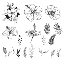 Wall Mural - Hand drawn flower composition isolated flowers, line black anemone, hibiscus, palm leaf, branch