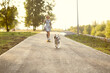 Cute girl woman rides skateboard, dog Australian Shepherd breed runs with owner, generation z, sports walks with pets