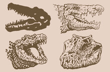 Graphical Vintage Set Of Heads Of Crocodiles , Sepia Background, Vector Illustration