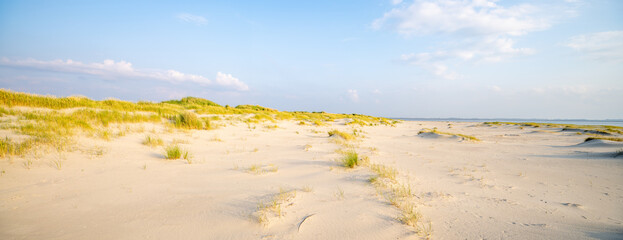 Wall Mural - dune beach panorama in summer