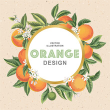 Tropical Hawaiian Card Template With Orange Fruits. Vector Illustration.