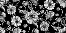 Watercolor Seamless Black White Floral Pattern With Poppy Flower