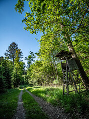 Wall Mural - Hoch und Jägersitz