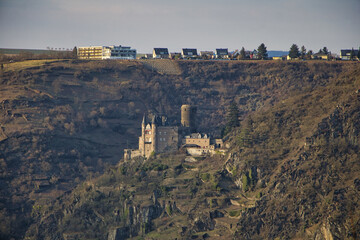 ruins of the castle