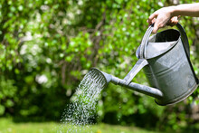 Summer Garden Watering. Water Saving Ecology Gardening Background. 
