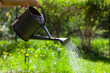 Summer garden watering. Water saving ecology gardening background. 
