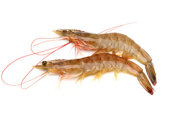 Sticker - Raw shrimp isolated on white background