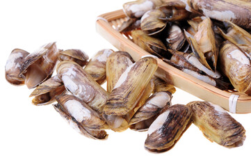 Razor clams isolated on white background.