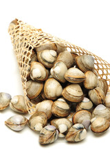 Wall Mural - Stacked fresh raw clams on white background