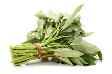 Wall Mural - Water spinach isolated on white background