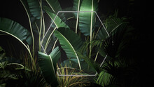 Cyber Background Design. Tropical Plants With White, Triangle Shaped Neon Frame.