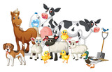 Fototapeta Pokój dzieciecy - Farm animals on white background