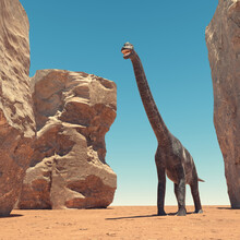 Brachiosaurus Desert