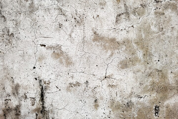 Wall Mural - close up of concrete cement textured wall for background