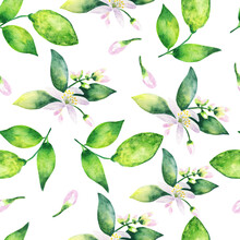 Watercolor Seamless Pattern Of A Lemon Branch With Leaves And Citrus.Hand Drawn Watercolor Painting On White Background.