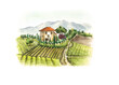 Watercolor Tuscany landscape Illustration. Italian vineyard  hills background