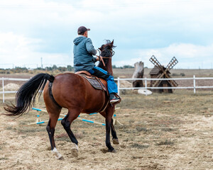 Rider riding bay horse on village background with old wooden mill. Back portrait