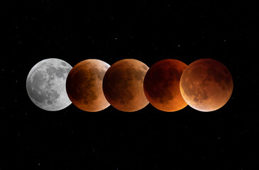 Wall Mural - super flower blood moon series - lunar eclipse taken on may 15, 2022, canada
