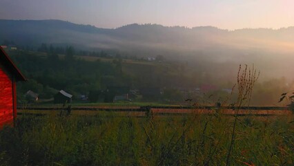 Sticker - Sunrise on hazy mountain meadow, Dzembronia, Carpathians, Ukraine