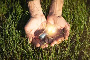 Wall Mural - Hand holding a lightbulb on a background of green grass. Concept of green electricity