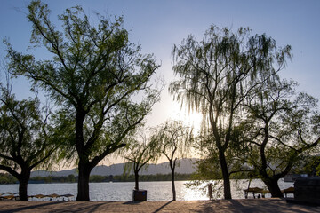 Sticker - Beautiful shot of a sunny day in a park