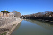 View of green river Tiber surrounded by buildings in background of bridge
