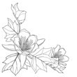 Corner bunch of outline Liriodendron or tulip tree flower and leaves in black isolated on white background. 