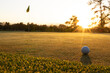 Sunlight streaming through trees and golf ball on grassy land against clear sky during sunset