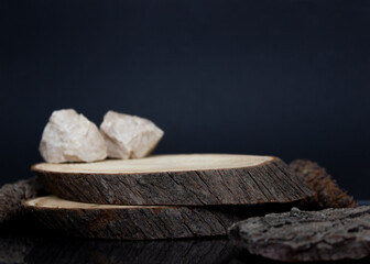 two wood logs or stumps on the dark Background with empty space for text. 