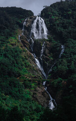 Sticker - Vertical shot of the Dudhsagar Falls surrounded by green vegetation. Goa, India.