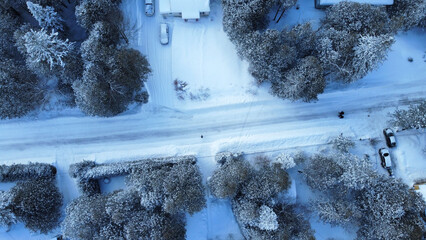 Wall Mural - Aerial view of snowy road and trees