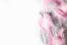 Natural Colored In Pink And Gray Feathers With White Copyspace Background