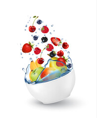 Canvas Print - Colorful fresh fruit  falling into the water splash. Vector illustration