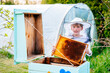 The boy beekeeper holds in his hands a honeycomb with fresh honey. Apiculture. Preparing for the season concept.