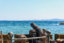 Old Rusty Cannon On Sea Shore In Split, Croatia