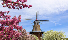 Historic Windmill In Windmill Island Gardens In Holland, Michigan