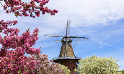 Sticker - Historic Windmill in Windmill island gardens in Holland, Michigan