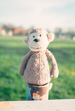 Vertical Shot Of A Fluffy Monkey Toy In A Blurred Background