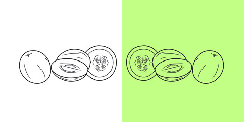 Sticker - Vector illustration of Honeydew or Melon with different shape on isolated backgrounds.