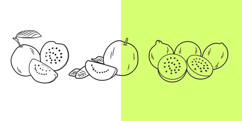 Poster - Line art isolated doodle. Fresh exotic fruit age concept for fruit garden icon.