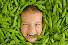 The Child Holds A Pod Of Fresh Green Peas In His Teeth. The Face Of A Blue-eyed Angry Frowning Hungry Girl Is Surrounded By A Pile Of Chickpeas