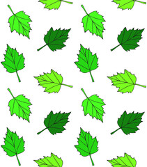 Wall Mural - Vector seamless pattern of hand drawn sketch doodle green leaves isolated on white background