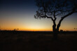 Scenic view of a beautiful sunset in a game reserve in Africa
