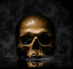 Wall Mural - Human skull and smoke on dark background